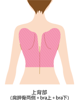 対象部位　上背部（肩甲骨横+ブラ上+ブラ下）