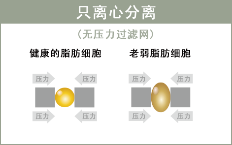 遠心分離のみ（ウエイトフィルターなし）