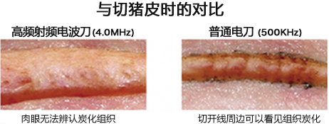 豚皮切開時の比較